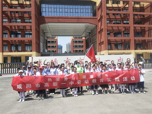 热爱劳动 健康成长——咸阳市高新一中开展劳动教育实践活动