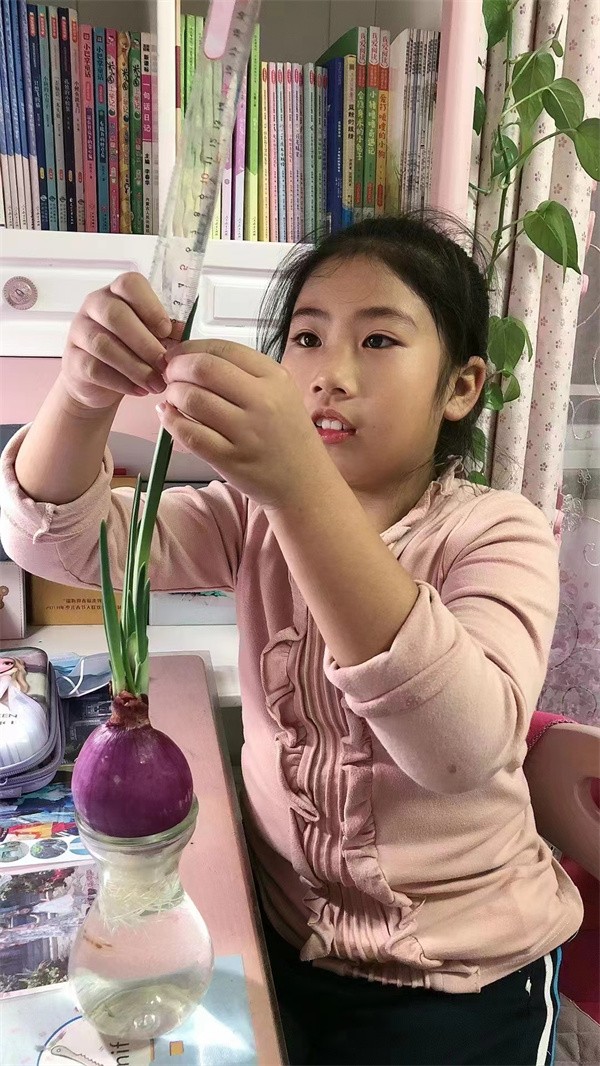 观察日记——咸阳市高新一中小学部四年级语文实践作业