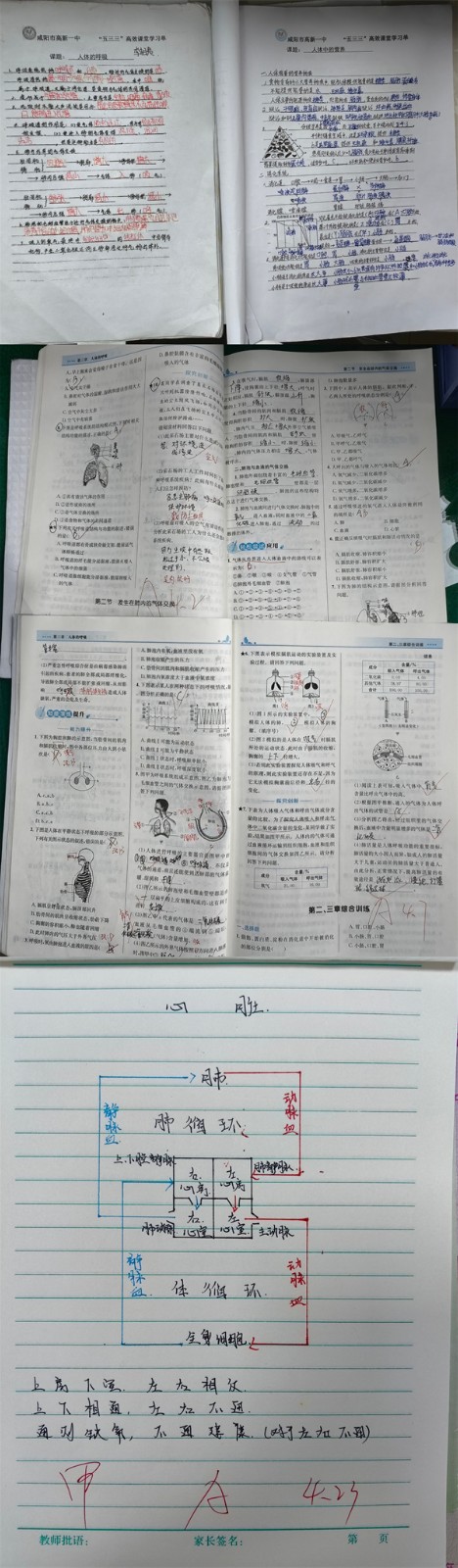 立足常规抓教学 作业检查促提升